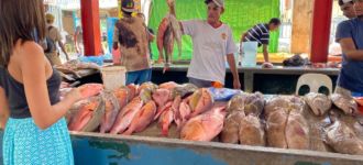Victoria Market_Fresh Fish